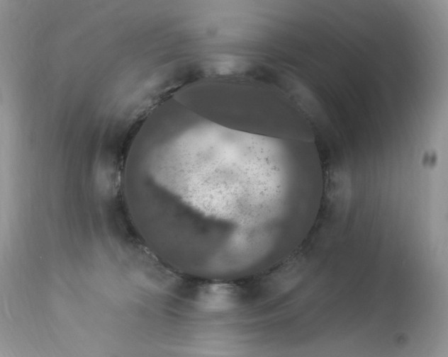 X0000112860324200909111515