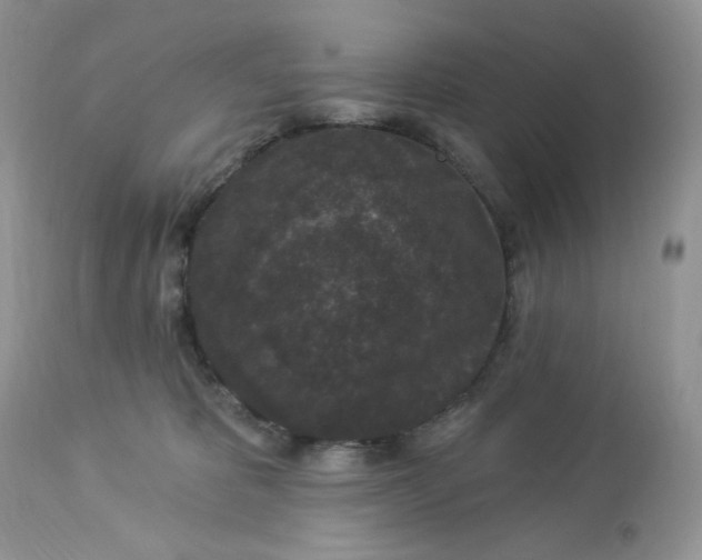 X0000112860325200909111515