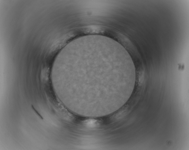 X0000112860326200909111515