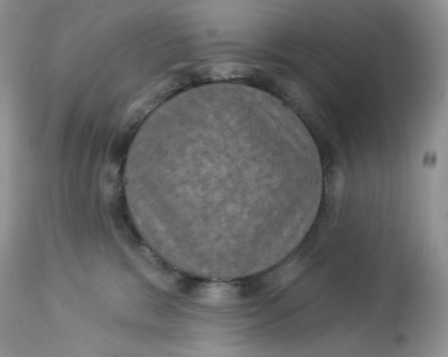 X0000112860327200909111515