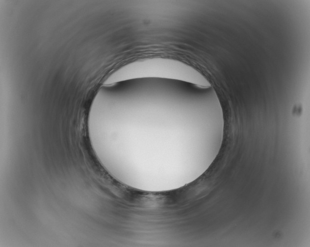 X0000112860328200909111515