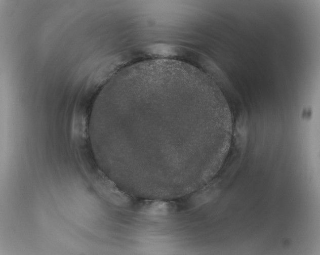 X0000112860330200909111515