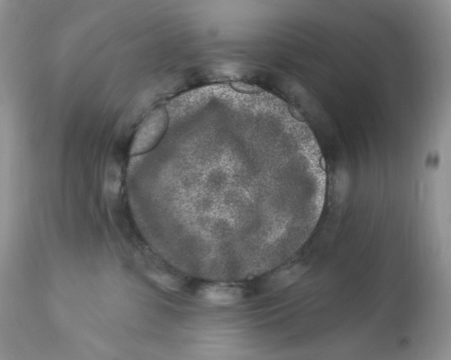 X0000112860331200909111515