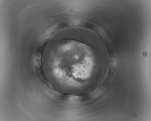 X0000112860332200909111515