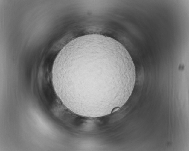 X0000112860334200909111515