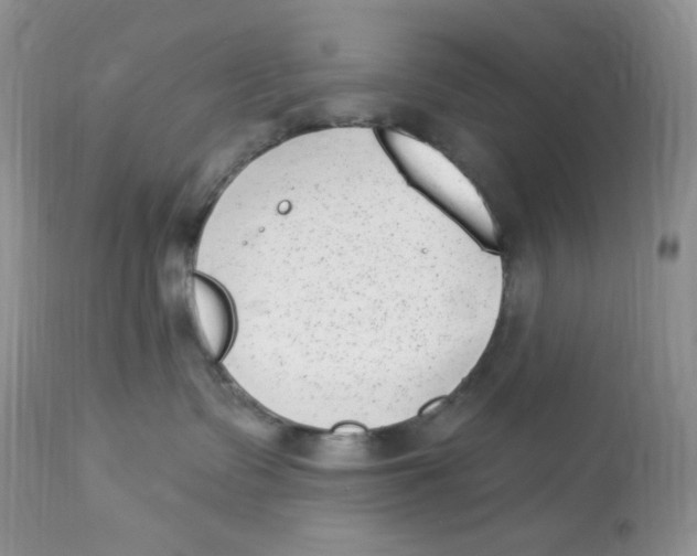 X0000112860335200909111515