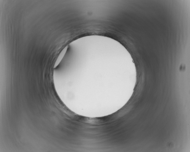 X0000112860336200909111515