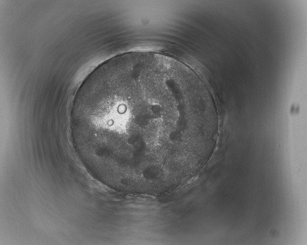 X0000112860337200909111514