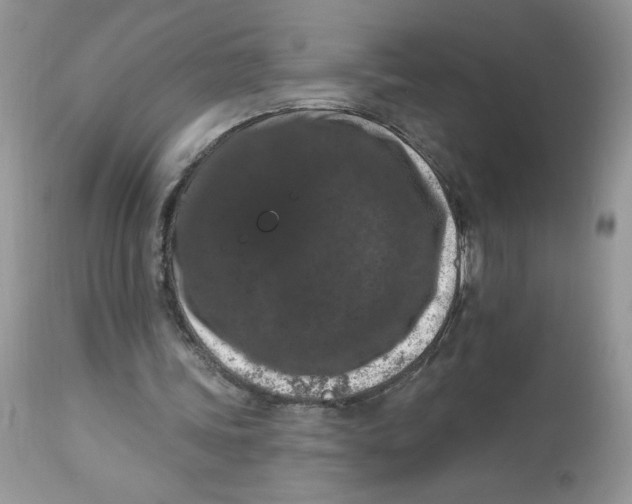 X0000112860339200909111514