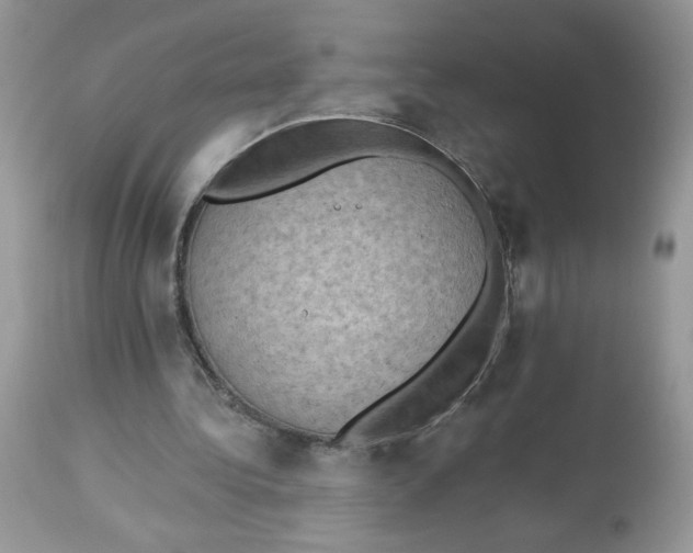 X0000112860340200909111514