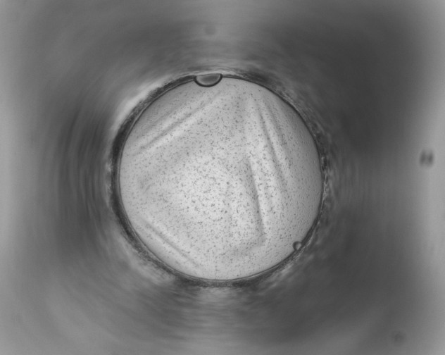 X0000112860342200909111514