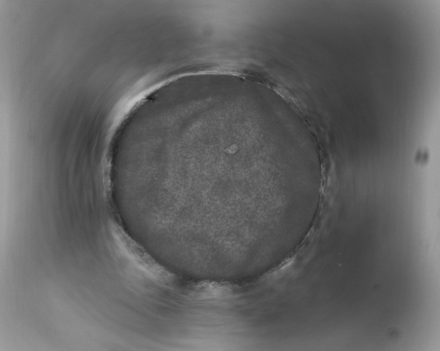 X0000112860343200909111514