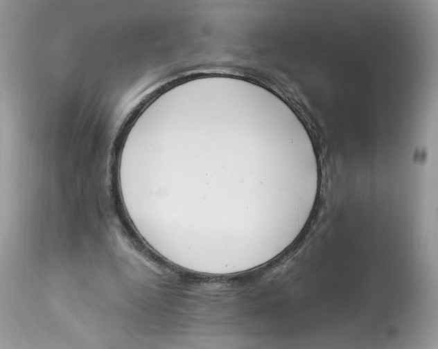 X0000112860344200909111514