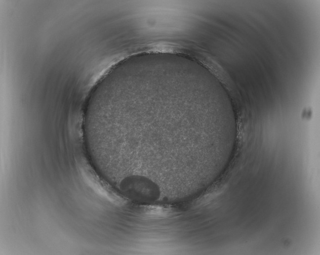 X0000112860347200909111514