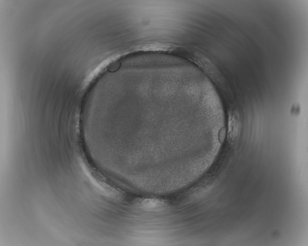 X0000112860348200909111514