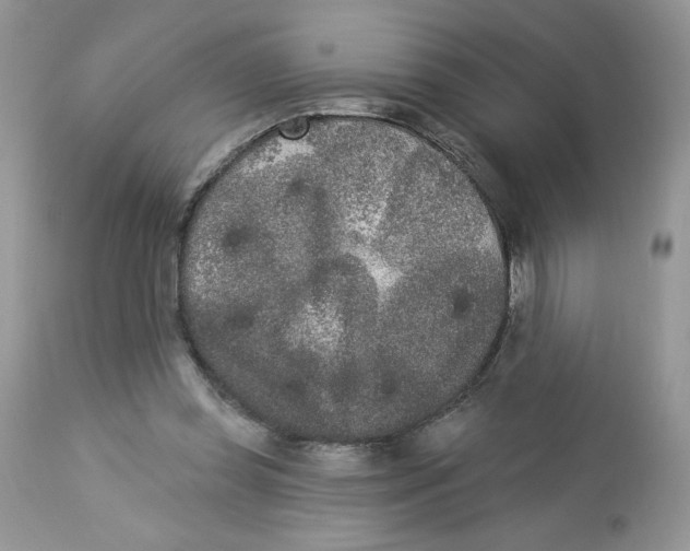 X0000112860349200909111514