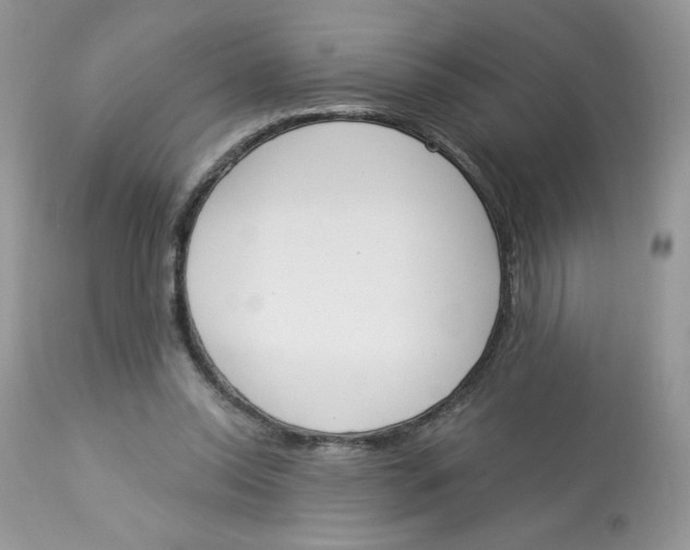 X0000112860350200909111514