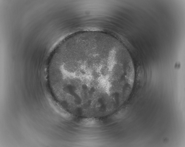 X0000112860351200909111514