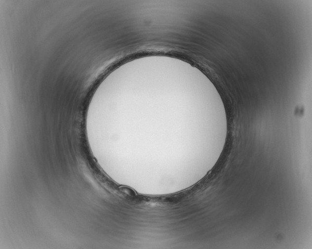 X0000112860352200909111514