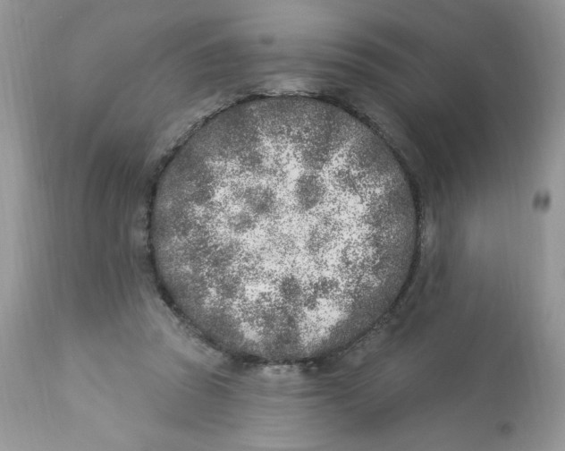 X0000112860353200909111514