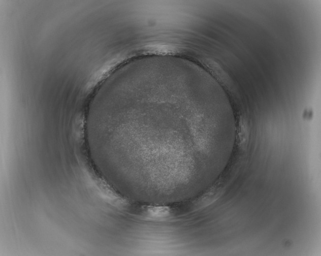 X0000112860355200909111514