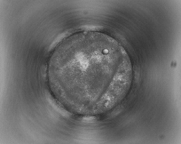 X0000112860357200909111514