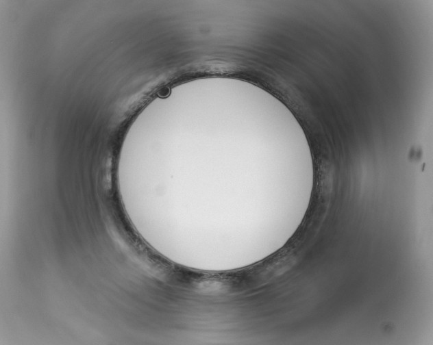 X0000112860358200909111514