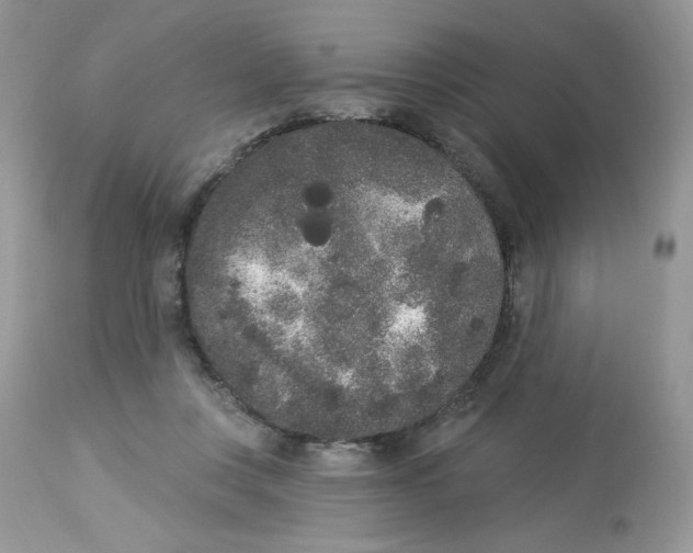 X0000112860359200909111514