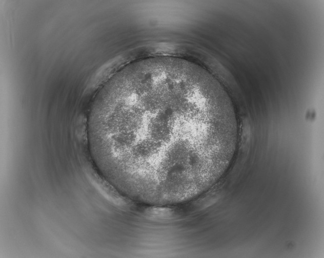 X0000112860361200909111514