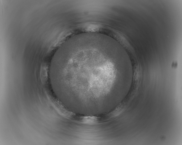 X0000112860363200909111514