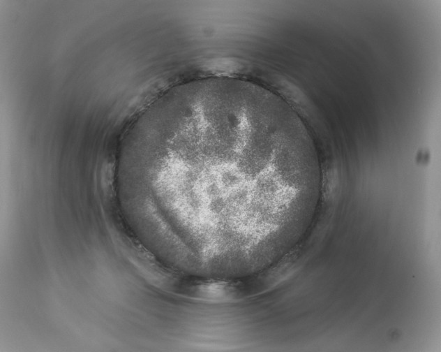 X0000112860365200909111514