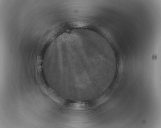 X0000112860366200909111514