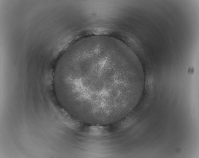 X0000112860367200909111514