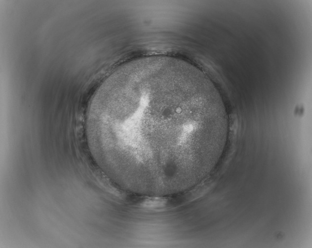 X0000112860369200909111514