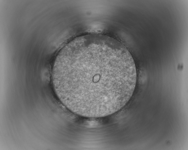 X0000112860370200909111514