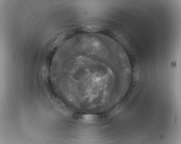 X0000112860371200909111514