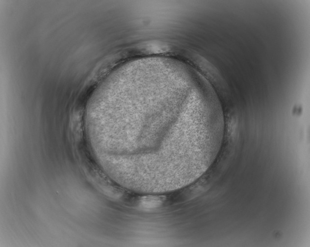 X0000112860373200909111515