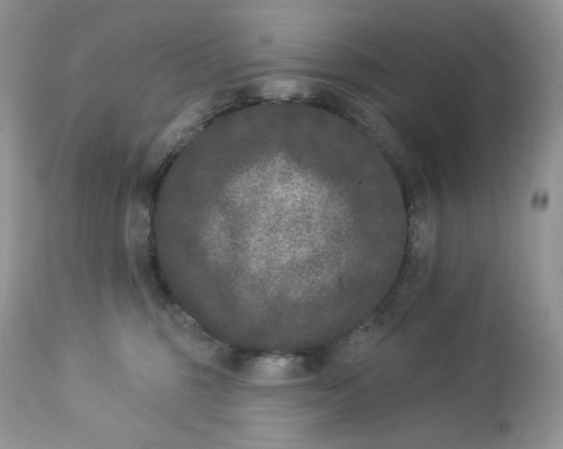 X0000112860375200909111515