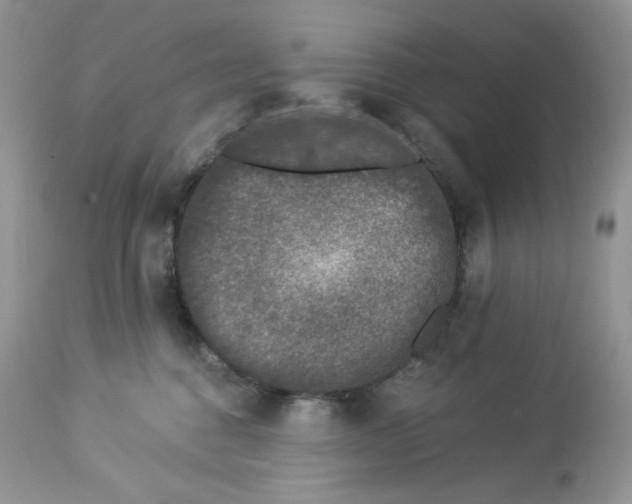 X0000112860376200909111515