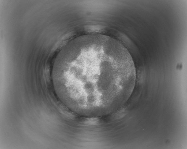 X0000112860377200909111515