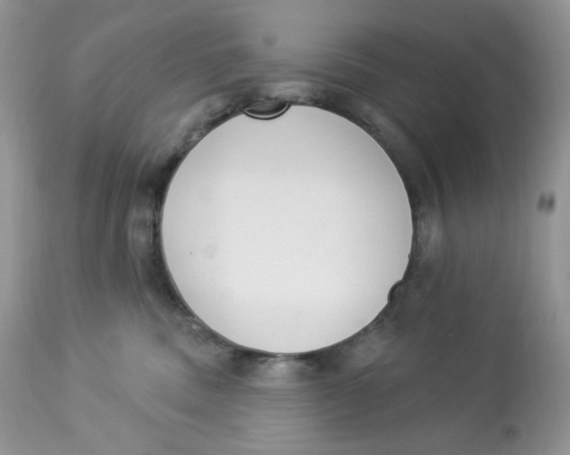 X0000112860379200909111515