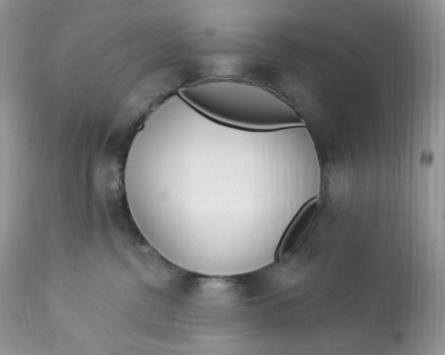 X0000112860380200909111515