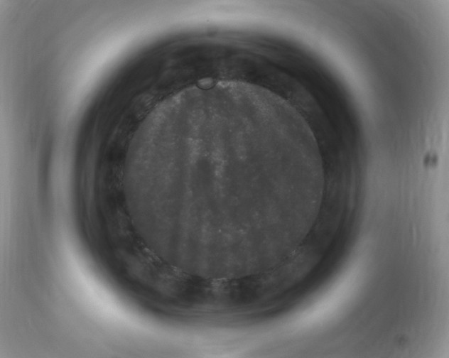 X0000112860383200909111515