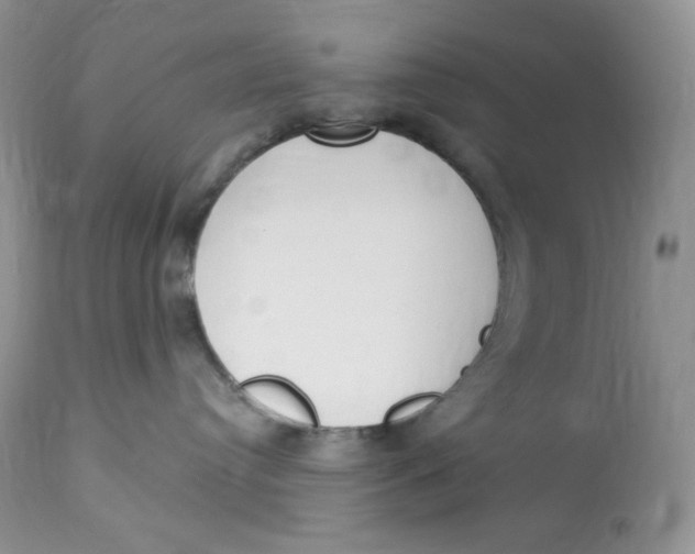 X0000112860384200909111515