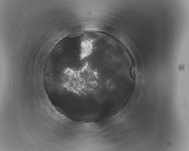 X0000112860385200909111514