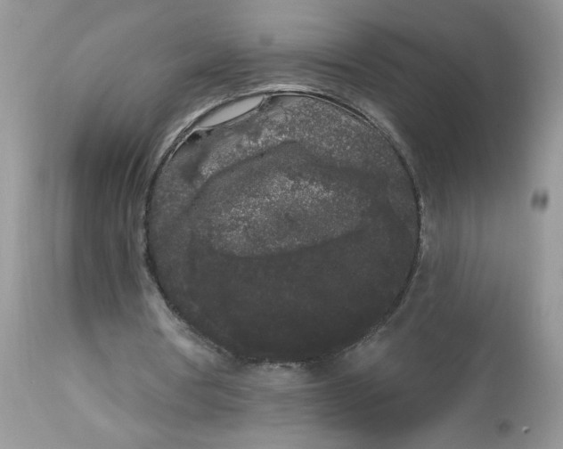 X0000112860386200909111514