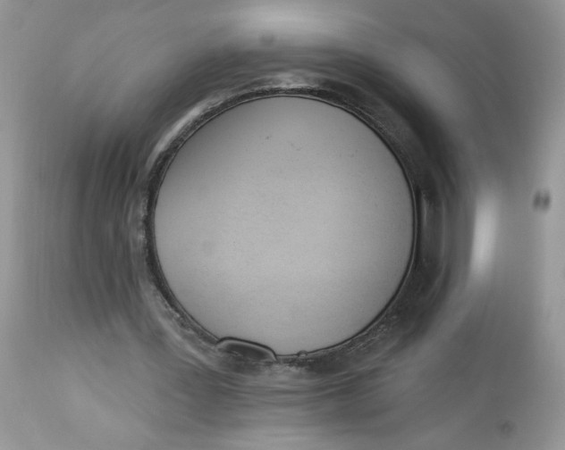 X0000112860387200909111514