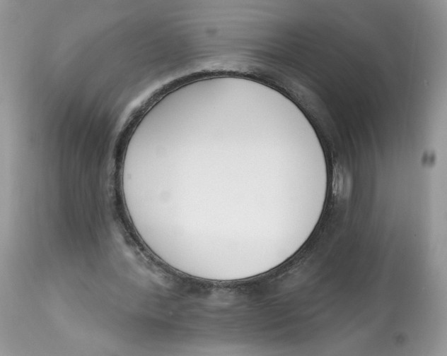 X0000112860388200909111514