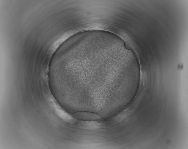 X0000112860389200909111514