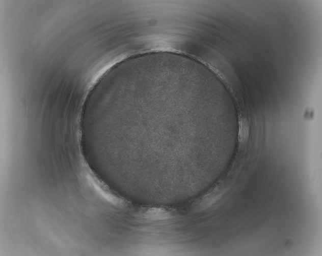 X0000112860390200909111514